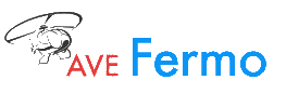 AVE Fermo